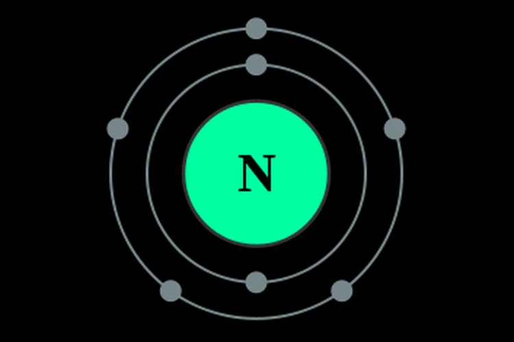 Nitrogen (N)