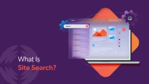 Site Search dan 3 Alasan Menggunakannya