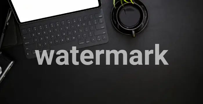 Download Video tanpa Watermark