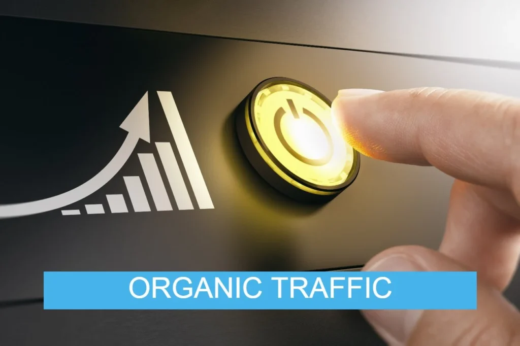 Organic Traffic Data