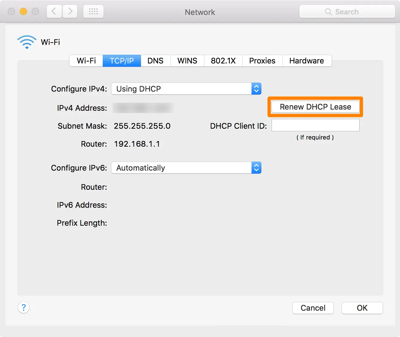 Release & Renew IP Address pada Perangkat MacOS