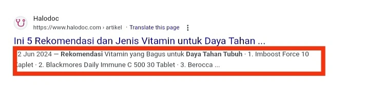 Apa Itu Meta Description?