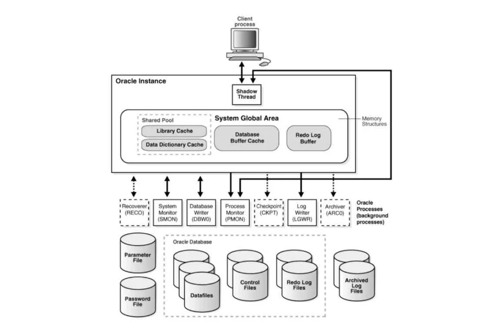 Contoh Database Berdasarkan Jenisnya