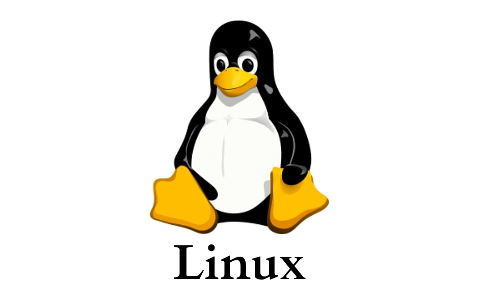 Keterbatasan dalam Menggunakan Linux