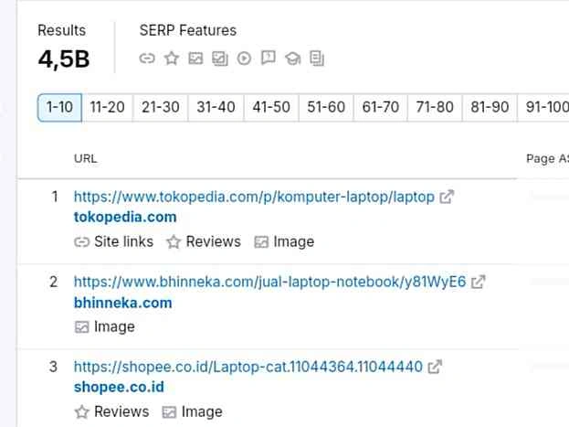 SERP Features