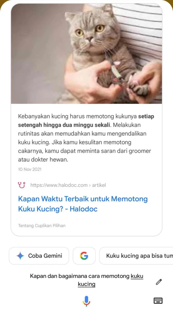 Strategi Optimasi Web untuk Google Voice Search