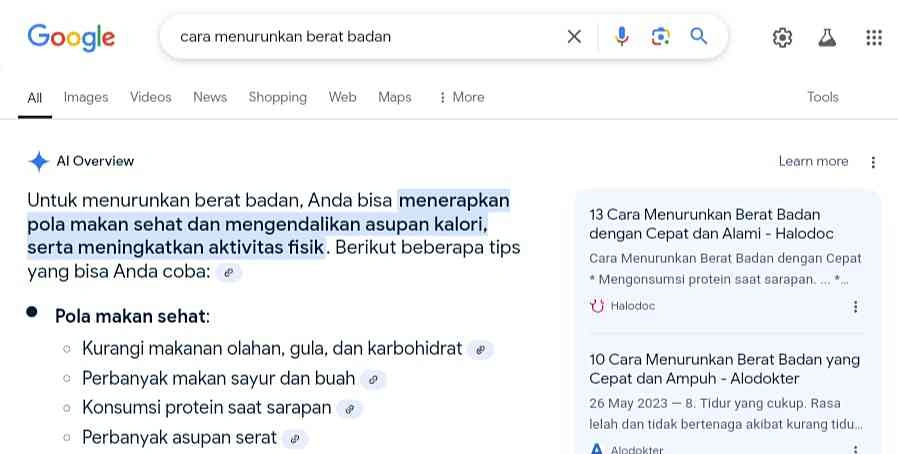 Optimalkan SERP untuk Menaikkan Ranking Google